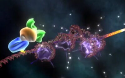 Epigenetics: A New Hope in Fighting Prostate Cancer