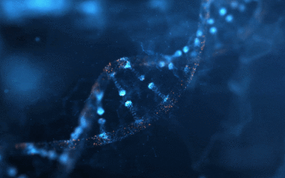 PHEN Supports Talapro-3 Clinical Trial